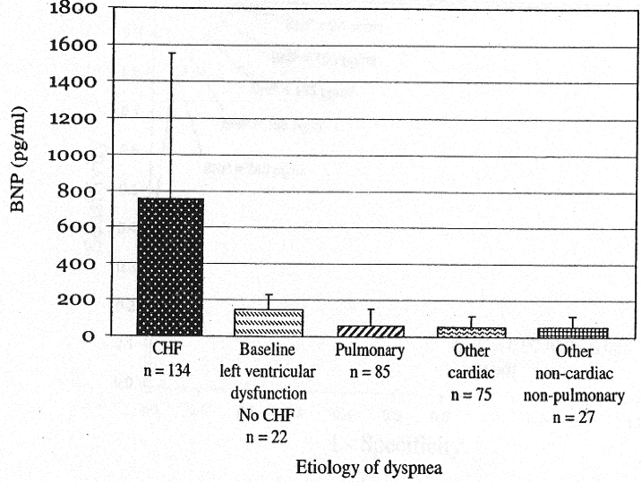 BNP-Dyspena