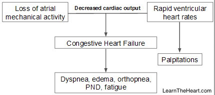 AtrialFib-Pathophysiology