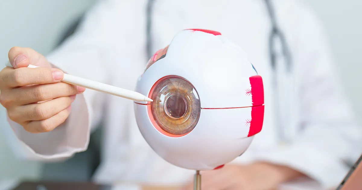 Age-Related Macular Degeneration 