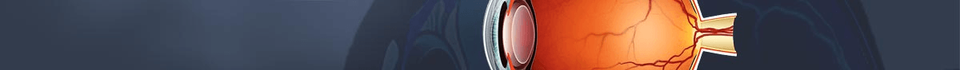 THs in Retina colection banner