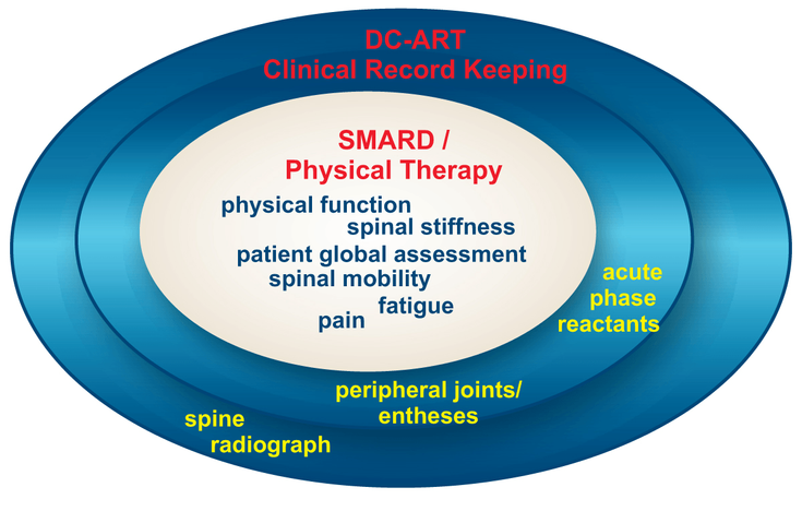 Figure 12-1: ASAS/OMERACT Core Domains for AS. Key: DC-ART, disease controlling–anti-rheumatic treatment; SMARD, symptom modifying–anti-rheumatic drug. Source: van der Heijde D, et al. J Rheumatol. 1999;26(4):951-954.