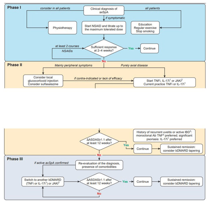 Figure 13-1 ASAS-EULAR Recommended Algorithm for the Treatment of Patients With axSpA. Key: Ab, antibody; ASAS, Assessment of SpondyloArthritis international Society; ASDAS, Ankylosing Spondylitis Disease Activity Score; bDMARD, biological disease-modifying antirheumatic drug; IBD, inflammatory bowel disease; IL-17i, interleukin-17 inhibitors; JAKi, Janus kinase inhibitors; NSAID, non-steroidal anti-inflammatory drug; TNFi, tumor necrosis factor inhibitors. Source: Ramiro S, et al. Ann Rheum Dis. 2023;82(1):19-34.