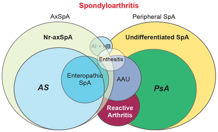 Figure 1-1: Components of Spondyloarthritis. AAU, acute anterior uvelitis, AI+HB, aortic incompetence plus heart block. The various forms of SpA are divided into predominantly axial and predominantly peripheral forms. Source: Ozgocmen S, Khan MA. Curr Rheumatol Rep. 2012; 14(5):409-414.