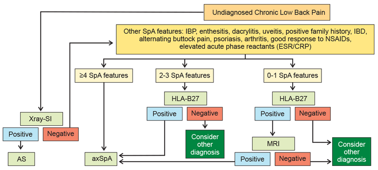 Figure 11-3: A Useful Guide for Diagnosis of axSpA Among Subjects Presenting With Chronic Low Back Pain. Source: van den Berg, R. Ann Rheum Dis, 2013;72(10):1646-1653.