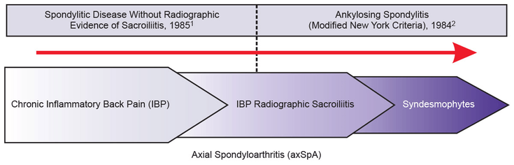 Figure 5-1: Patients With axSpA Can Be Divided Into Two Main Subgroups: nr-axSpA and axSpA With Positive Imaging Results (Includes AS). Source: 1) Khan MA, et al. Arthritis Rheum. 1985;28:40-43. 2)cvan der Linden S, et al. Arthritis Rheum. 1984;27:361-368. 3) Khan MA. Clinical features. In: Inman R, Sieper J, eds. Oxford Textbook of Axial Spondyloarthritis. London: Oxford University Press; 2016.