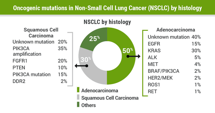 Figure 1-28: Oncogenic mutations in Non-Small Cell Lung Cancer (NSCLC) by histology. Source: Adapted from: Chan BA, et al. <em>Transl Lung Cancer Res.</em> 2015;doi:10.3978/j.issn.2218-6751.2014.05.01.