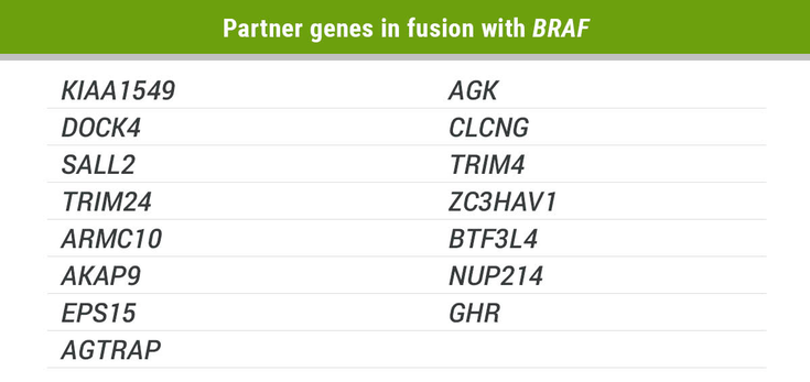 Figure 1-34. Current <em>BRAF</em> Fusion Partners Identified in NSCLC