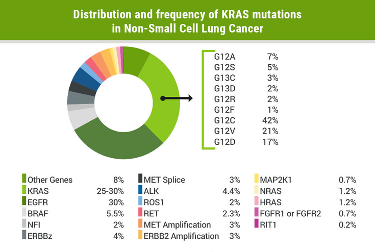 Figure 1-36:<strong> </strong>Distribution and frequency of <em>KRAS</em> mutations in Non-Small Cell Lung Cancer. Source: Adapted from: Reck M, et al. <em>Ann Oncol</em>. 2021;doi:10.1016/j.annonc.2021.06.001.