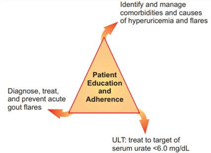 Figure 11-1: Long-Term Management Goals in Gout Are Closely Linked.  Communicating to the patient early on that gout is a disorder of excess body stores of uric acid and that ULT is the only “curative” measure in gout are critical steps in education that promote optimum adherence to the therapeutic plan Source:  1) Rees F, et al.  Ann Rheum Dis. 2013;72(6):826-830. 2) Spencer K, et al. Ann Rheum Dis. 2012;71(9):1490-1495.