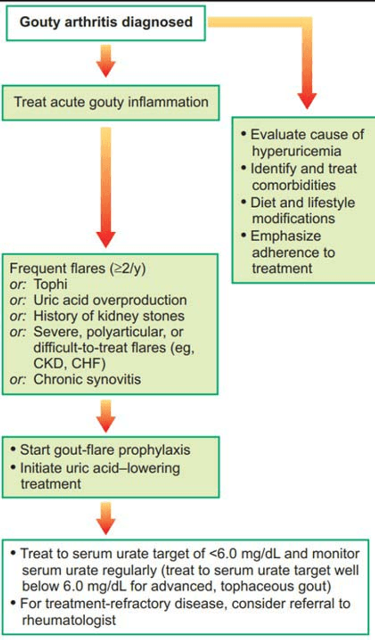 Figure 11-2: Comprehensive Gout Treatment Plan After Diagnosis