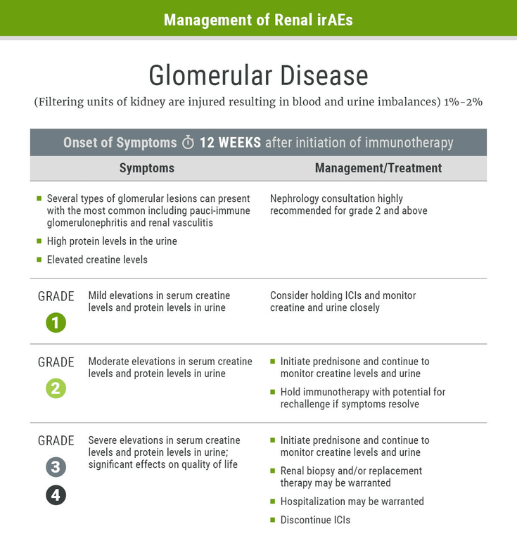 Figure 2-26: Management of Renal irAEs- Glomerular Disease 