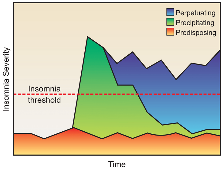 Figure 4-1: Predisposing, Precipitating and Perpetuating Factors Influencing Insomnia. Source: Yang CM, et al. <em>Psychiatr Clin North Am</em>. 2006;29(4):895-919.