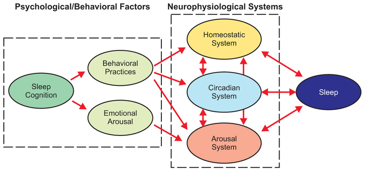 Figure 4-7: Effect of Physiological/Behavioral Factors on Sleep. Source: Yang CM, et al. Psychiatr Clin North Am. 2006;29(4):895-919.