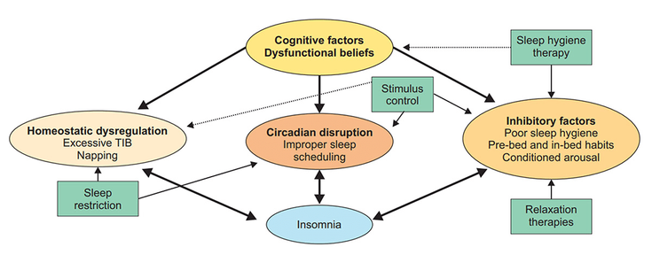 Figure 9-1:  Target Pathways of Behavioral Treatment in Insomnia. Solid arrow lines indicate a primary effect, whereas dotted lines indicate a possible incidental or secondary effect. Source: Edinger JD, Means MK. Clin Psychol Rev. 2005;25(5):539-558.