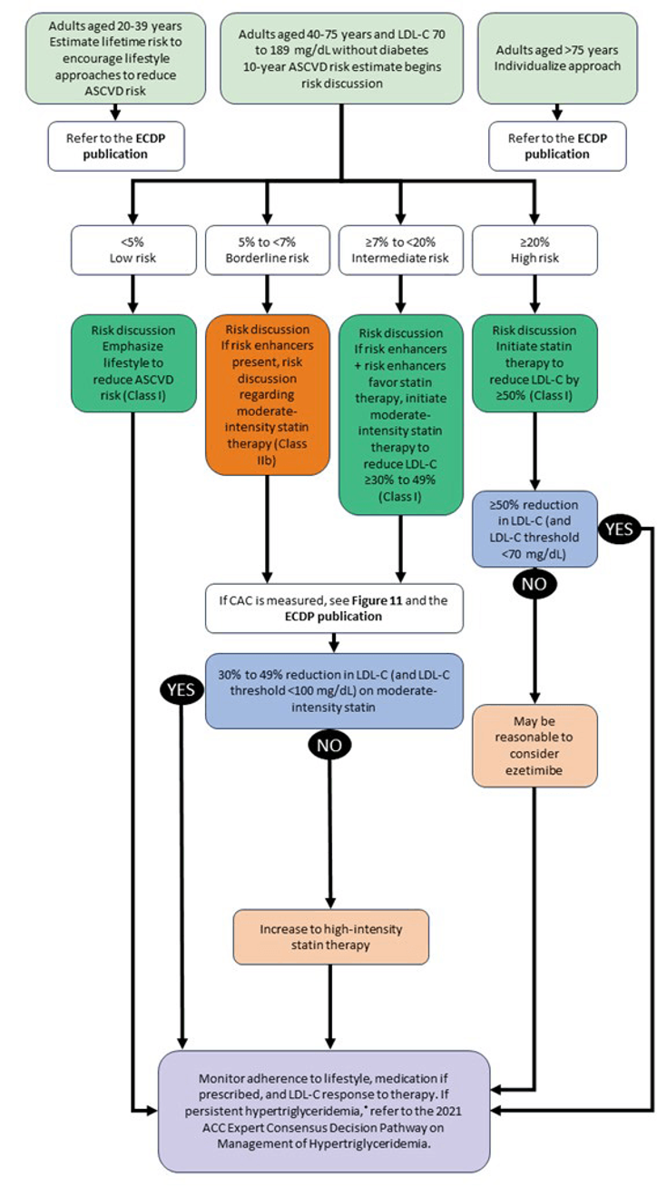 Figure 21-10: 2022 ECDP Algorithm for Primary Prevention in Patients without Diabetes or Primary Hypercholesterolemia. Notes: <sup>*</sup>Fasting triglycerides ≥150 mg/dL following a minimum of 4-12 weeks of lifestyle intervention, a stable dose of maximally tolerated statin therapy when indicated, as well as evaluation and management of secondary causes of hypertriglyceridemia. ASCVD, atherosclerotic cardiovascular disease; CAC, coronary artery calcium; ECDP, Expert Consensus Decision Pathway; LDL-C, low-density lipoprotein cholesterol.  <strong>Source:</strong> Modified from Lloyd-Jones DM, et al. <em>J Am Coll Cardiol</em>. 2022;80(14):1366-1418.