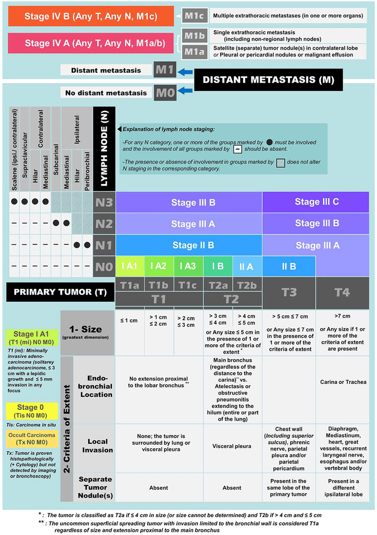 Figure 2-3: TNM Staging of Lung Cancer – 8th Edition. Source: Modified from: Lababede O, et al. Oncologist. 2018;23(7):844-848.