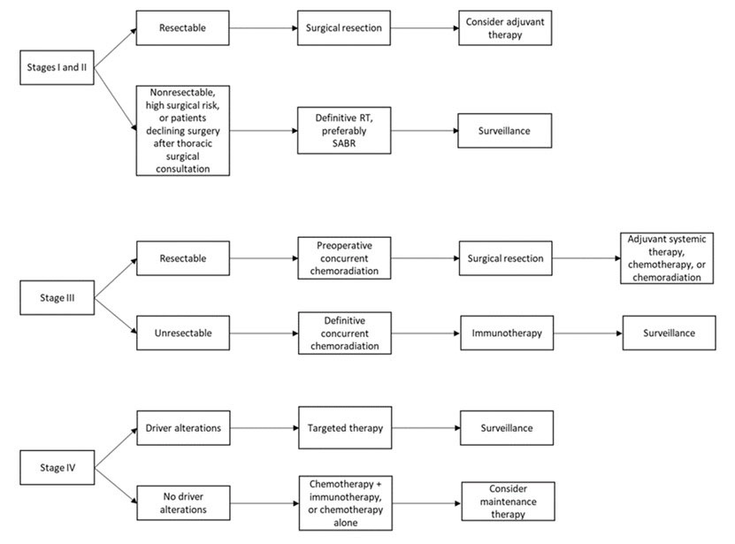 Figure 4-1: Algorithms for Stage-Dependent Treatment Approach.  Source: Modified from: National Comprehensive Cancer Network (NCCN). NCCN Clinical Practice Guidelines in Oncology: Non-Small Cell Lung Cancer. Version 11.2024. Published October 15, 2024. Accessed October 19, 2024. Available at: https://www.nccn.org/guidelines/guidelines-detail?category=1&id=1450.