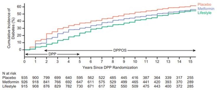 Figure 4-2:DPPOS Study: Cumulative Incidence of Diabetes at Over 15 Years Since Randomization in the DPP Study of Individuals with Overweight/Obesity at High Risk for Diabetes. Source: Diabetes Prevention Program Research Group, et al. <em>Lancet Diabetes Endocrinol</em>. 2015;3(11):866-875.