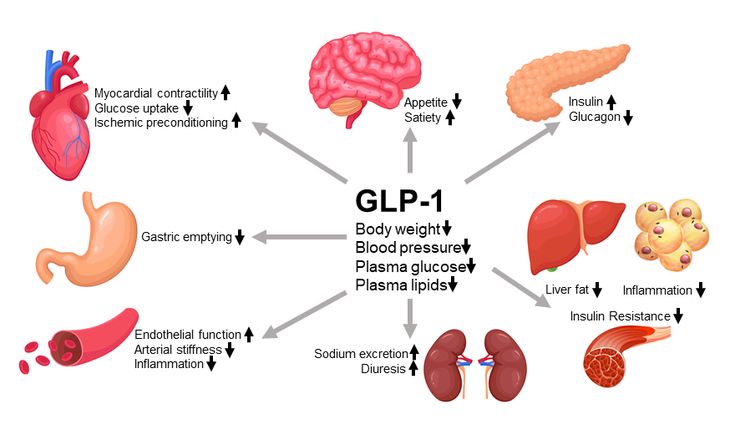 Figure 2-6: Actions of GLP-1 and GLP-1 Receptor Agonists Promote Weight Loss via Several Mechanisms. Key: GLP-1, glucagon-like peptide 1. Source: Adapted from Boyle JG, et al. <em>Clin Sci (Lond).</em> 2018;132(15):1699-1709.