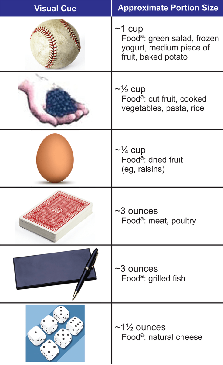 Figure 8-2: Visual Aids Make “Portion Sense”. Tools to help patients understand proper portion size. <sup>a</sup> Food = one FGP serving of food(s) listed.