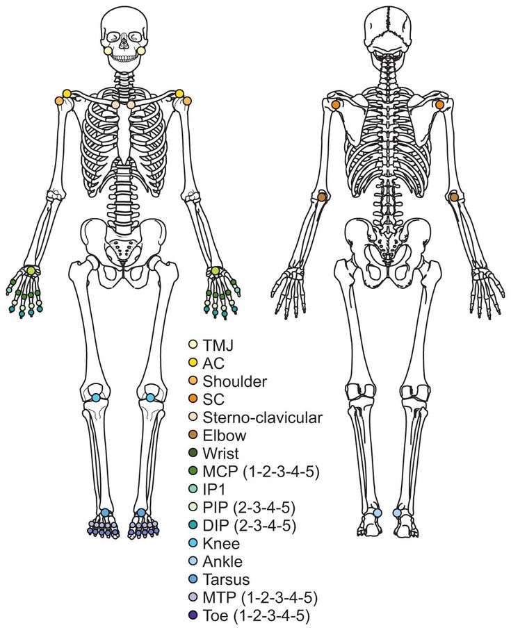 Figure 5-2: 66-joint Count