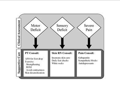 Supportive care protocol to address clinical problems related to sciatic nerve palsy after total hip arthroplasty