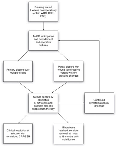 Flow diagram of treatment of surgical infection