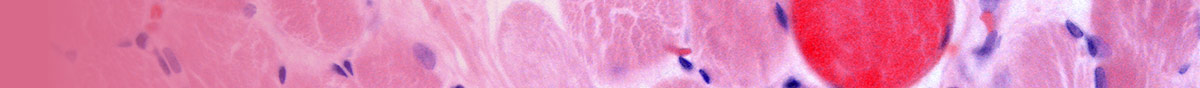 23007243_MDA_collection_banner