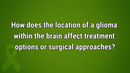 VIDEO: Understanding neuroanatomy key to approaching brain tumors