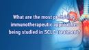 VIDEO: Advancements in immunotherapeutic approaches for small cell lung cancer