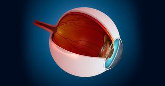 Evidence-Based Approaches to Diagnose, Treat, and Manage Patients With Retinal Diseases: Summaries of Clinical Trials