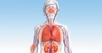 ANCA-Associated Vasculitis: Contemporary Perspectives for the Rheumatology Provider – Featuring Curbside Consults