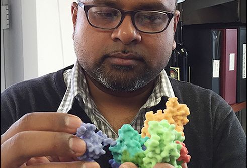 Kartik Chandran, PhD