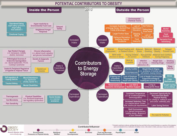 Obesity Infographic