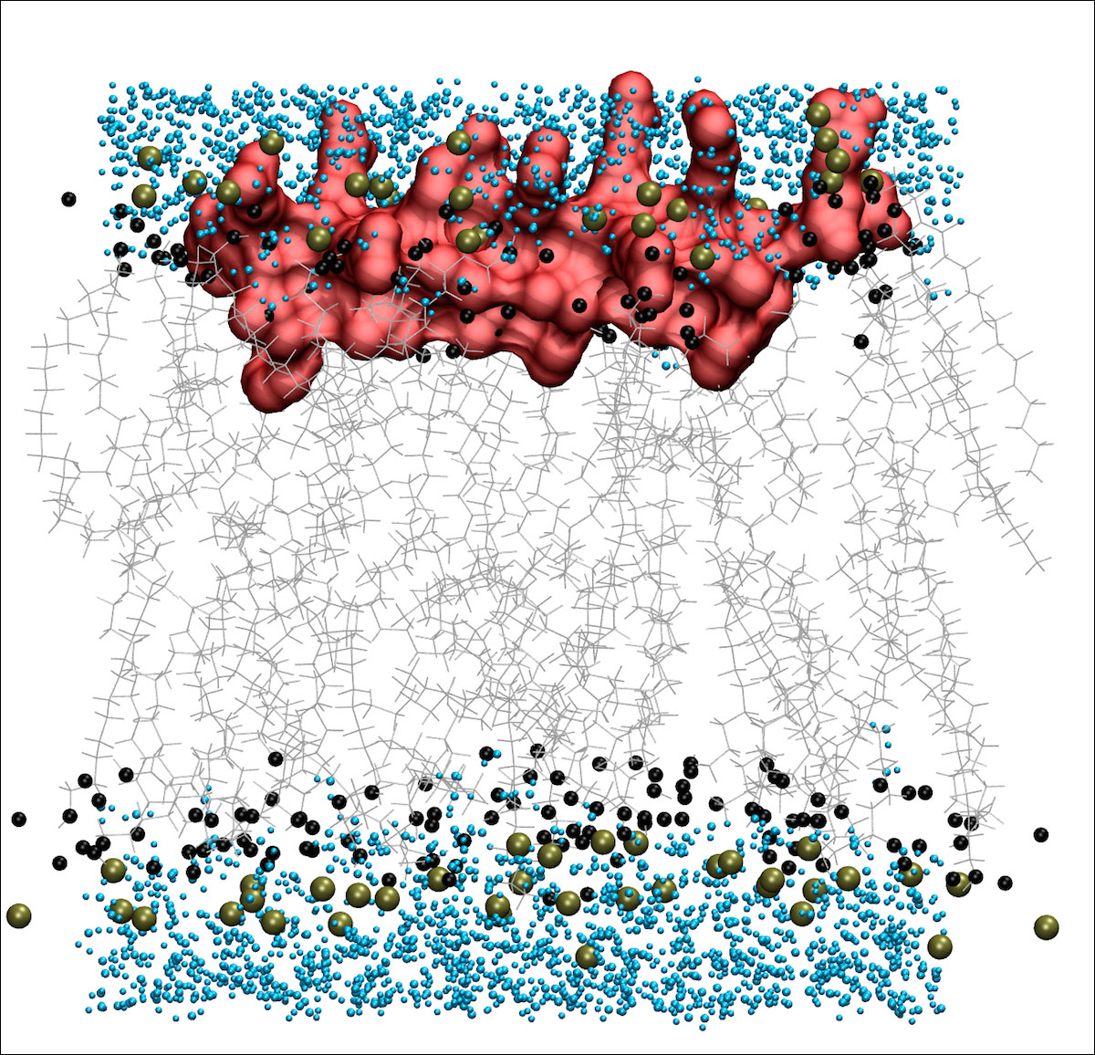 Engineered cationic antimicrobial peptide (eCAP) membrane