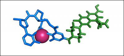 Bacterial siderophore linked to an antibiotic