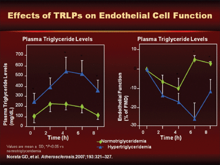 Figure 3. Effects of triglyceride-rich lipoproteins on endothelial cell function