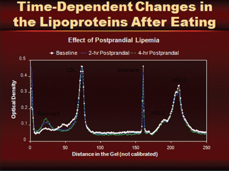 Figure 4. Time-dependent changes in the lipoproteins after eating