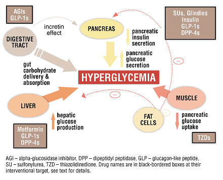 Figure 1. Pathogenesis of T2DM and Drug Class Targets