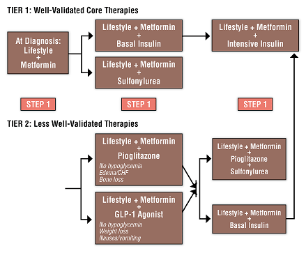 Figure 2. Algorithm for the Metabolic Management of Type 2 Diabetes