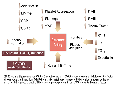 Figure 1. Beyond High Cholesterol and Hypertension: Factors Responsible for Atherosclerosis and the Induction of Acute MI in Diabetes