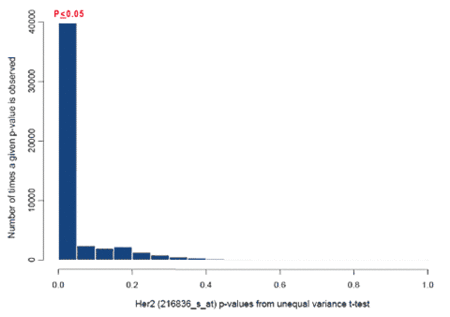 Figure 1. Histogram of P values of HER2