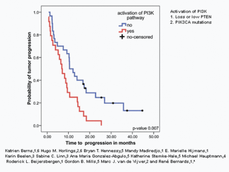 Figure 5. A functional genetic approach identifies the PI3K pathway