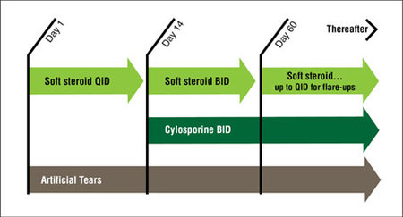 Table 1. Dry Eye Syndrome Diagnosis and Treatment