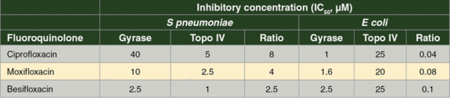 Table 2. Besifloxacin Inhibition of DNA Gyrase and Topoisomerase Catalytic Activity
