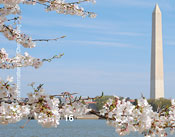 Washington Monument