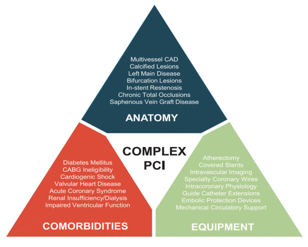 Characteristics of complex and high-risk patients undergoing PCI.