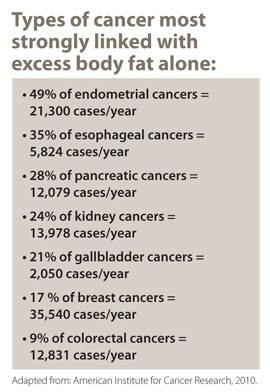 Types of cancer most strongly linked with excess body fat alone