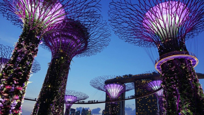 Gardens by the Bay, one of Singapore’s most unique attractions that consists of three indoor waterfront gardens located on 101 hectares of land adjacent to the harbor.