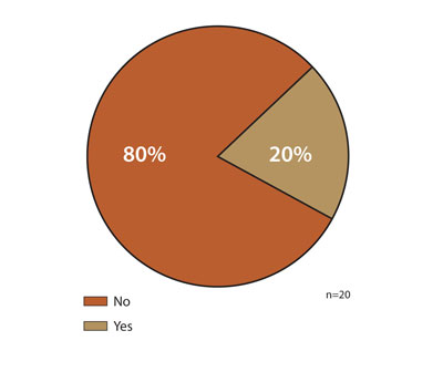 Pie chart 2